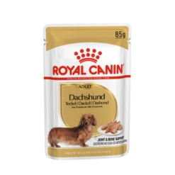 Pet Supplies 5 Royal Canin Wet Dog Food Specifically For Adult Dachshund 12x85g