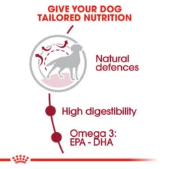 Royal Canin Nutritional Wet Dog Food For Medium Adult Dogs 10x140g -Pet Supplies ckjiqexz214 80c35c92 ae4e 4a18 a3a4 5878711ed9fc