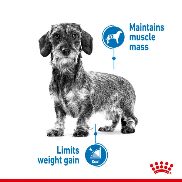 Royal Canin Nutritional Wet Dog Food For Mini Light Weight Care 12 X 85g 7 Royal Canin Nutritional Wet Dog Food For Mini Light Weight Care 12 X 85g - Image 5