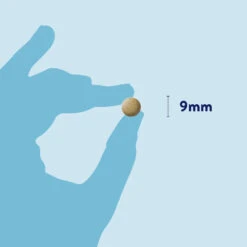 Dorwest Herbs Milk Thistle Tablets Liver Supplement 13 Dorwest Herbs Milk Thistle Tablets Liver Supplement -Pet Supplies cqlulvnbhpf