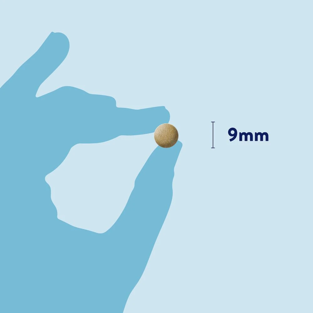 Dorwest Herbs Milk Thistle Tablets Liver Supplement 7 Dorwest Herbs Milk Thistle Tablets Liver Supplement - Image 5