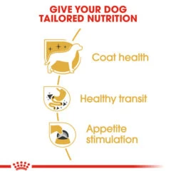 Royal Canin Wet Dog Food Specifically For Chihuahua Adult 12x85g -Pet Supplies cvd1ewts2hd