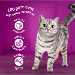 WHISKAS 1+ Cat 85g Pouches X 40 , Fish, Poultry Fish And Surf &Turf -Pet Supplies d4doq3o1iz3