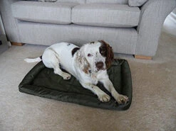 Rosewood Green Water Resistant Crate Mattress -Pet Supplies d4hfv45c5va