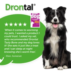Drontal Tasty Bone XL Wormer Tablets - Large Dogs - Over 35kg - All Pack Sizes -Pet Supplies dse4qu2lvaw