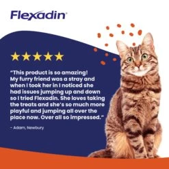 Vetoquinol Flexadin Joint Care For Cats, 60 Chews -Pet Supplies dvp52rghpgc