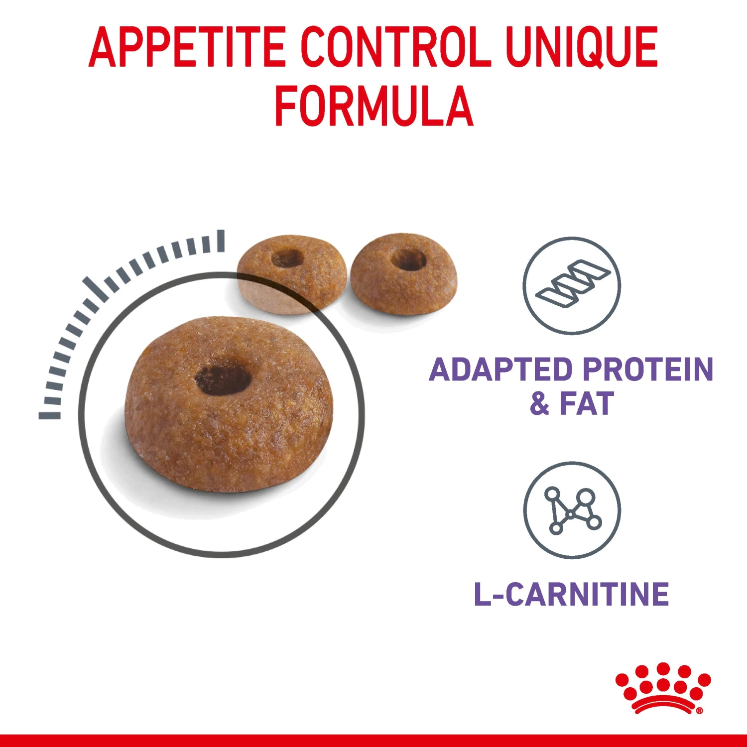 Royal Canin Dry Cat Food Appetite Control Care 2kg 7 Royal Canin Dry Cat Food Appetite Control Care 2kg - Image 5