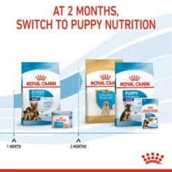 Royal Canin Dry Dog Food For Maxi Starter Mother & Babydog - All Sizes -Pet Supplies e3bhun0xohx