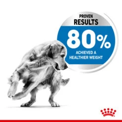 Royal Canin Dry Dog Food For Medium Light Care Adult Dogs - All Sizes -Pet Supplies e3sqwvp1lqr