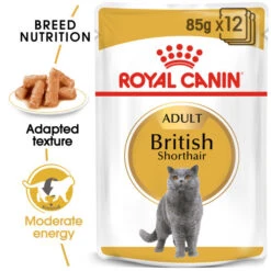 Royal Canin British Shorthair Adult In Gravy Wet Cat Food For Cats 12 X 85g -Pet Supplies ebrkzpfqmc4 99453a7c 3694 4c6a b7e0 0b14ba8f6af0