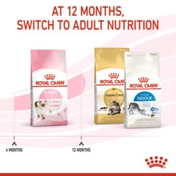 Royal Canin Nutritional Dry Cat Kitten Food 14 Royal Canin Nutritional Dry Cat Kitten Food -Pet Supplies ezpx1xpeiij