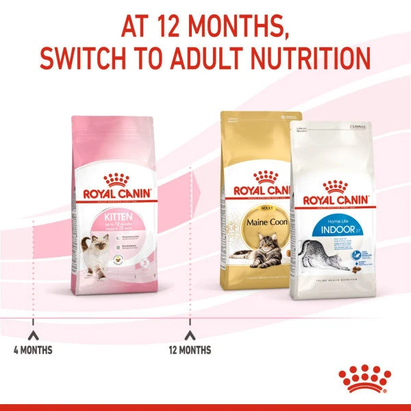 Royal Canin Nutritional Dry Cat Kitten Food 6 Royal Canin Nutritional Dry Cat Kitten Food - Image 4