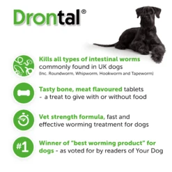 Drontal Tasty Bone XL Wormer Tablets - Large Dogs - Over 35kg - All Pack Sizes -Pet Supplies fepsrmy50cn