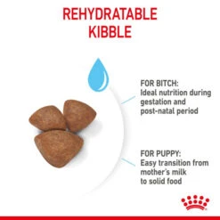 Royal Canin Dry Dog Food For Mini Starter Mother & Babydog - All Sizes -Pet Supplies fkaaohxqb21