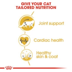 Royal Canin Maine Coon Adult Dry Cat Food For Cats 13 Royal Canin Maine Coon Adult Dry Cat Food For Cats -Pet Supplies fkri21ym31j