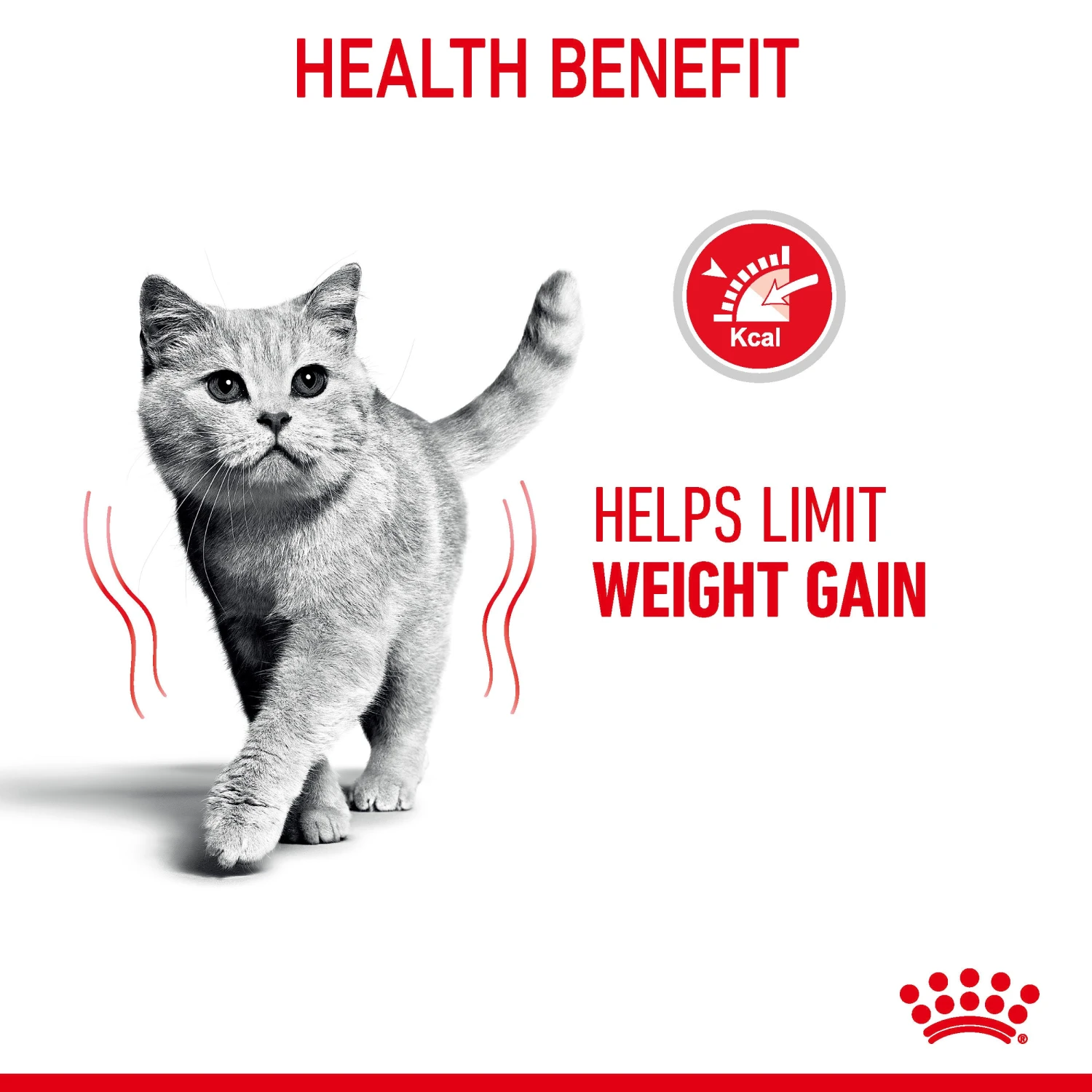 Royal Canin Wet Cat Food Ultra Light Pouch 12 X 85 G 13 Royal Canin Wet Cat Food Ultra Light Pouch 12 X 85 G - Image 11