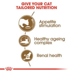 Royal Canin Ageing 12+ Dry Cat Food For Cats 4kg 12 Royal Canin Ageing 12+ Dry Cat Food For Cats 4kg -Pet Supplies fqdq3t5tl0j