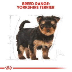 Royal Canin Dry Dog Food Specifically For Puppy Yorkshire Terrier 1.5kg 15 Royal Canin Dry Dog Food Specifically For Puppy Yorkshire Terrier 1.5kg -Pet Supplies g0lvhzgtd0c