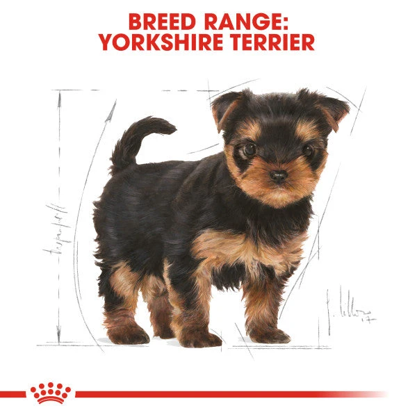 Royal Canin Dry Dog Food Specifically For Puppy Yorkshire Terrier 1.5kg 7 Royal Canin Dry Dog Food Specifically For Puppy Yorkshire Terrier 1.5kg - Image 5