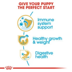 Royal Canin Dry Dog Food Specifically For Puppy Labrador Retriever - All Sizes -Pet Supplies g1c25gux1eq
