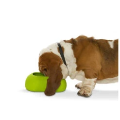 Buster Incredibowl For Long Eared Dogs -Pet Supplies gpg1ibtqgfq