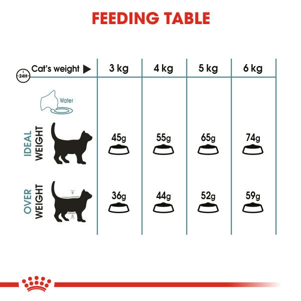 Royal Canin Hairball Care Adult Dry Cat Food For Cats 11 Royal Canin Hairball Care Adult Dry Cat Food For Cats - Image 9