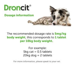 Droncit Tablet Tapewormer For Cats And Dogs - All Pack Sizes -Pet Supplies gvkyrxdv1sc 22d029ad e42b 4536 a088 c01dda2d7fd3