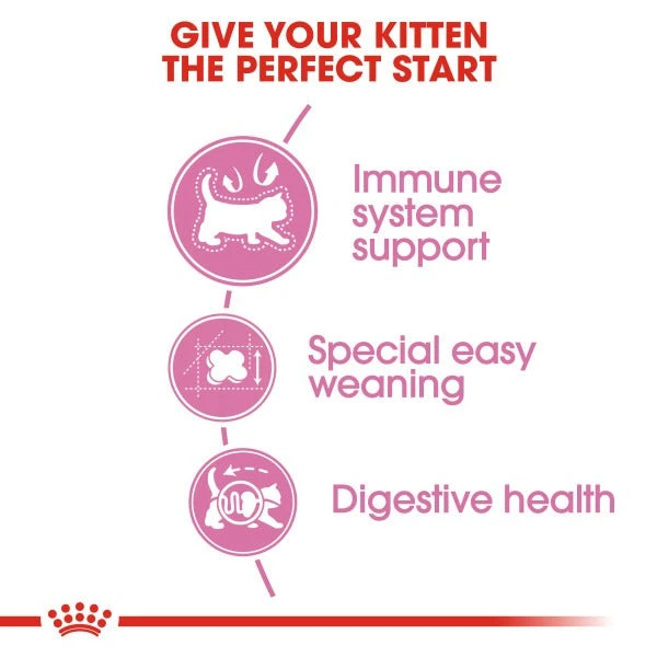 Royal Canin Dry Cat Food For Cat Mother & Babycat 4kg 6 Royal Canin Dry Cat Food For Cat Mother & Babycat 4kg - Image 4