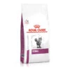Royal Canin Veterinary Health Nutrition Feline Renal- Various Sizes 1 Royal Canin Veterinary Health Nutrition Feline Renal- Various Sizes -Pet Supplies hui1lph0uef