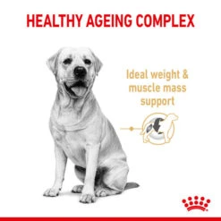 Royal Canin Dry Dog Food Ageing BHN Labrador 5+ 12kg -Pet Supplies ibx1j20pew0