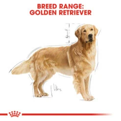 Royal Canin Dry Dog Food Specifically For Adult Golden Retriever - All Sizes 17 Royal Canin Dry Dog Food Specifically For Adult Golden Retriever - All Sizes -Pet Supplies id2cfhqpqpc