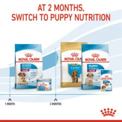 Royal Canin Dry Dog Food For Medium Starter Mother & Babydog - All Sizes -Pet Supplies idgc5ndxtoo