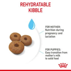 Royal Canin Dry Dog Food For Maxi Starter Mother & Babydog - All Sizes -Pet Supplies ieuj5xxli5f