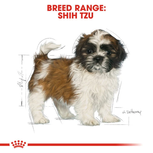 Royal Canin Dry Dog Food Specifically For Puppy Shih Tzu 1.5kg 7 Royal Canin Dry Dog Food Specifically For Puppy Shih Tzu 1.5kg - Image 5