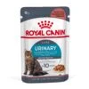 Royal Canin Urinary Care In Gravy Or Jelly 85g X12 1 Royal Canin Urinary Care In Gravy Or Jelly 85g X12 -Pet Supplies jegfs51t3f2 f84e1e4e 77b4 476a 8991 57f4c51b2e24