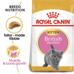 Royal Canin British Shorthair Kitten Dry Food For Cats 10kg 10 Royal Canin British Shorthair Kitten Dry Food For Cats 10kg -Pet Supplies jlepr1xwa2r