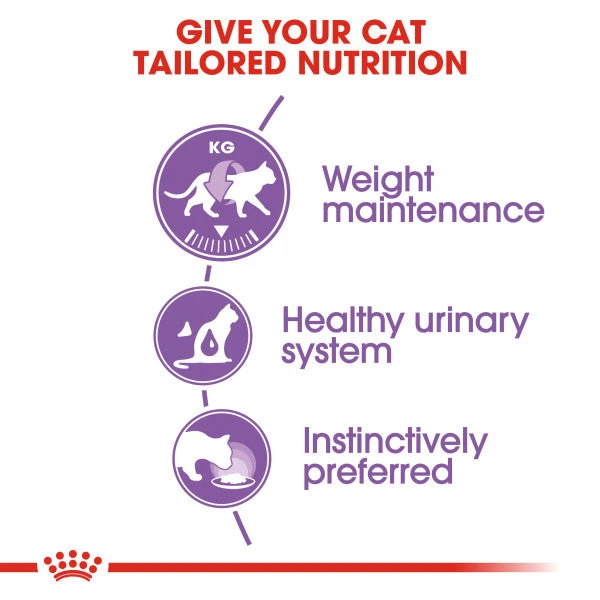 Royal Canin Sterilised Adult In Jelly Wet Cat Food For Cats 12 X 85g 5 Royal Canin Sterilised Adult In Jelly Wet Cat Food For Cats 12 X 85g - Image 3