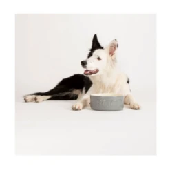 Scruffs Drinking And Food Bowls -Pet Supplies jrm0qfdkxur