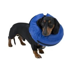 Buster Comfortable Inflatable Collar For Dogs -Pet Supplies jvwkxtmtcpd 76b8d89a d202 4197 bacf faea3f41df50