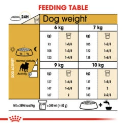 Royal Canin Dry Dog Food Specifically For Adult Pug - All Sizes 14 Royal Canin Dry Dog Food Specifically For Adult Pug - All Sizes -Pet Supplies krv3vagt3fp