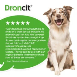 Droncit Tablet Tapewormer For Cats And Dogs - All Pack Sizes -Pet Supplies kximjk0cbvi 2ac16e6e fed1 4803 8f0b 30c410cf1caa