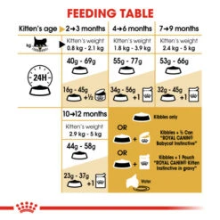 Royal Canin Persian Kitten Dry Food For Cats 4kg -Pet Supplies lqukb4db2bx