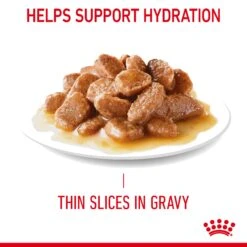 Royal Canin Appetite Control Care In Gravy Adult Wet Cat Food 12 X 85g 18 Royal Canin Appetite Control Care In Gravy Adult Wet Cat Food 12 X 85g -Pet Supplies lwc5v4hb1yx