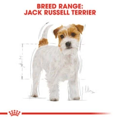 Royal Canin Dry Dog Food Specifically For Adult Jack Russell Terrier 3kg -Pet Supplies ly21cblcz5m