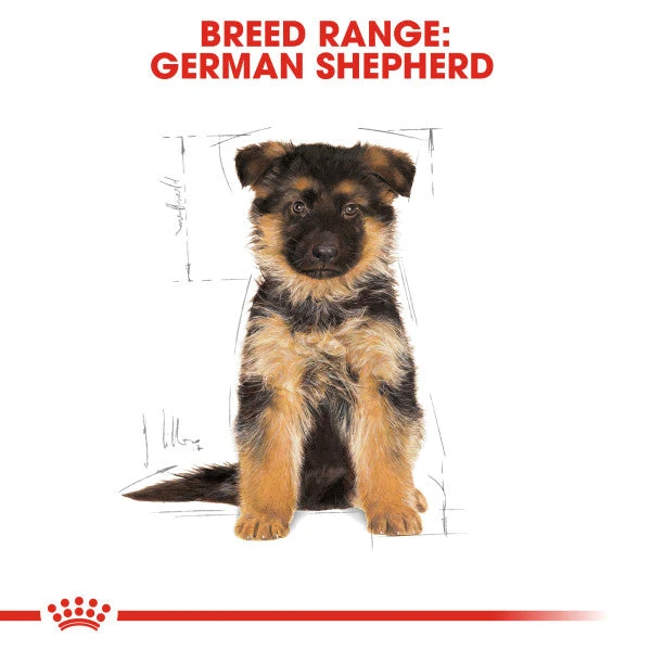 Royal Canin Dry Dog Food Specifically For Puppy German Shepherd - All Sizes 7 Royal Canin Dry Dog Food Specifically For Puppy German Shepherd - All Sizes - Image 5