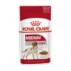 Royal Canin Nutritional Wet Dog Food For Medium Adult Dogs 10x140g 1 Royal Canin Nutritional Wet Dog Food For Medium Adult Dogs 10x140g -Pet Supplies mdbeibhvpln 9f0e6ad9 e5cf 4998 9c91 5b7c2d84f029