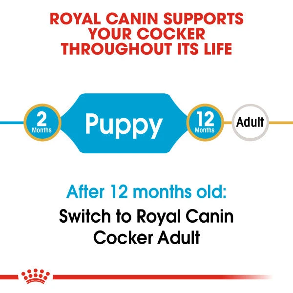 Royal Canin Dry Dog Food Specifically For Puppy Cocker 3kg 11 Royal Canin Dry Dog Food Specifically For Puppy Cocker 3kg - Image 9