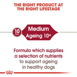 Royal Canin Wet Dog Food For Medium Ageing Senior 10+ Dogs 10x140g -Pet Supplies mkbglb54ck3