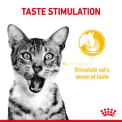 Royal Canin Wet Cat Food Pouches Sensory Designed Food 12 X 85g 25 Royal Canin Wet Cat Food Pouches Sensory Designed Food 12 X 85g -Pet Supplies msi5lu0k1iy