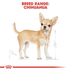 Royal Canin Wet Dog Food Specifically For Chihuahua Adult 12x85g -Pet Supplies mzjnco5l2gn